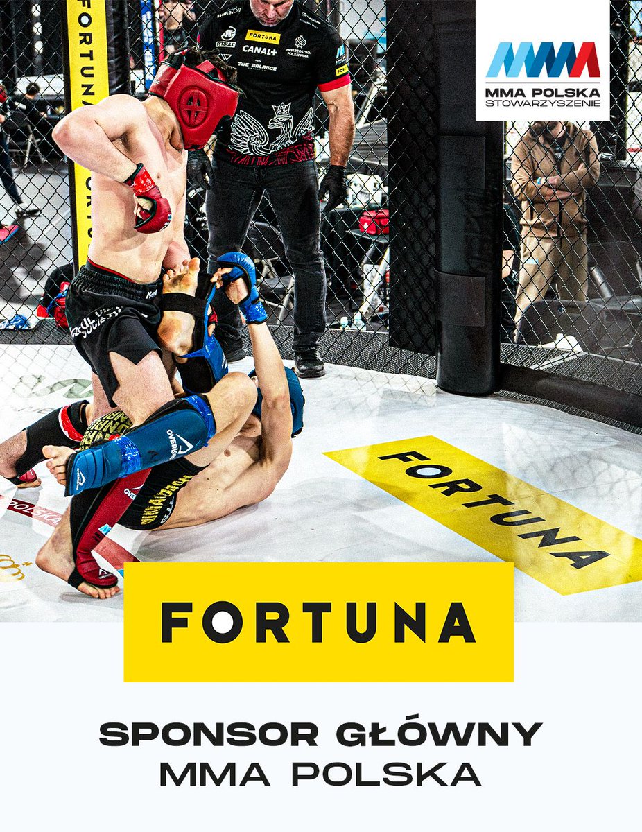 mmapolska_org tweet media