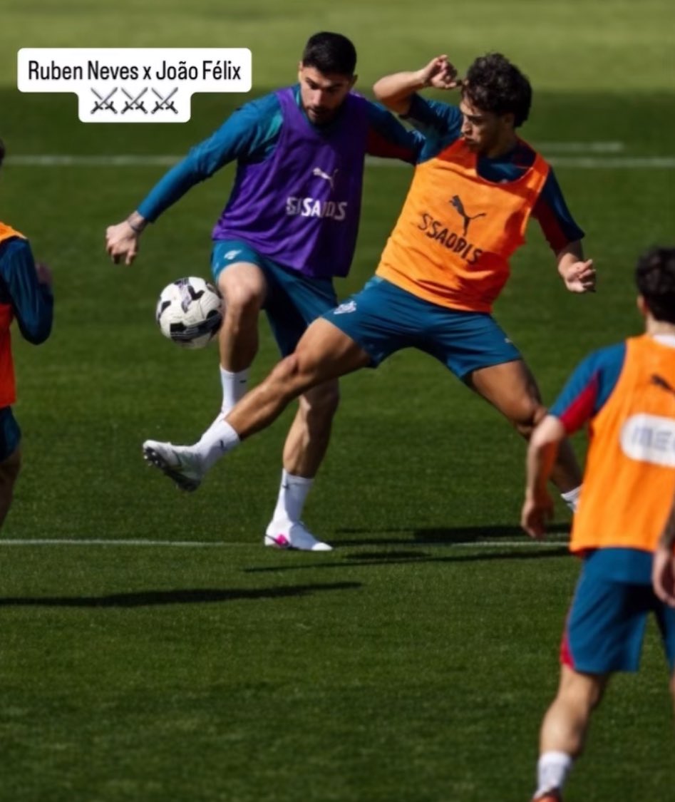 نيفيزه tweet media