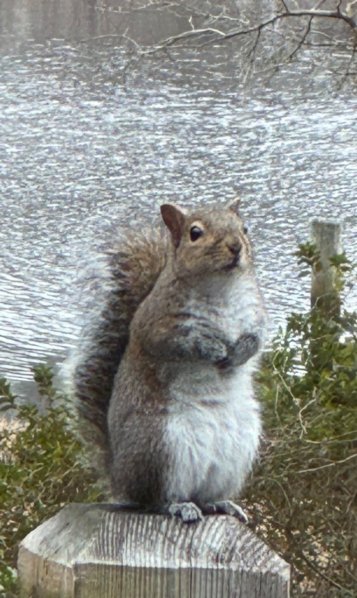 areelle7's tweet photo. @TheOnlyEsta Found a NUT https://t.co/M5aKpdybsk