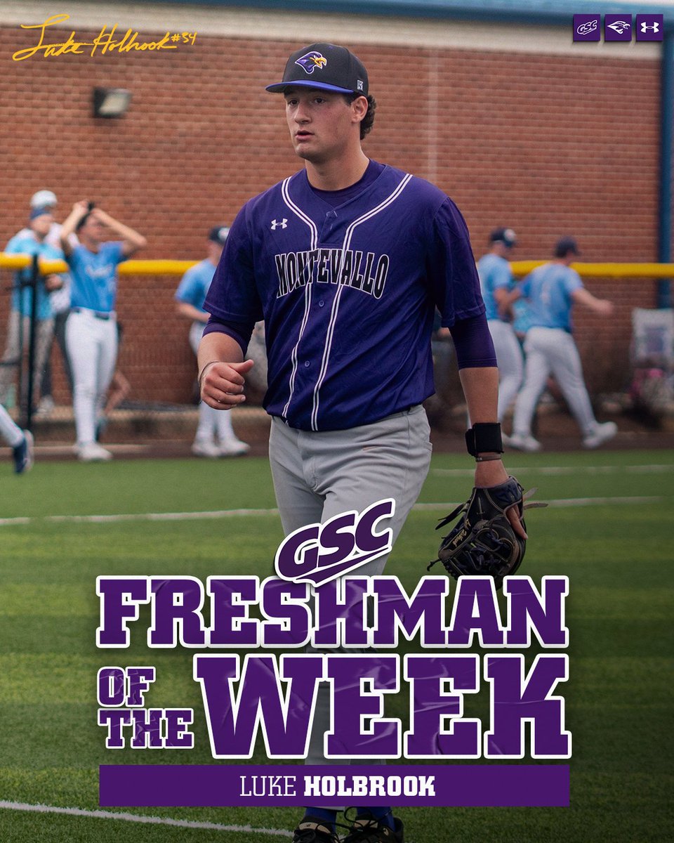 Montevallo Baseball tweet media