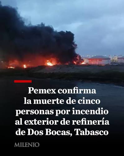 Rey Fifí tweet media