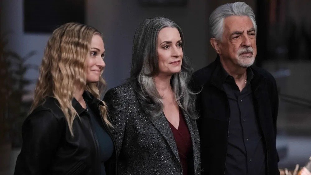 Connor Storrie Updates | Fansite tweet media