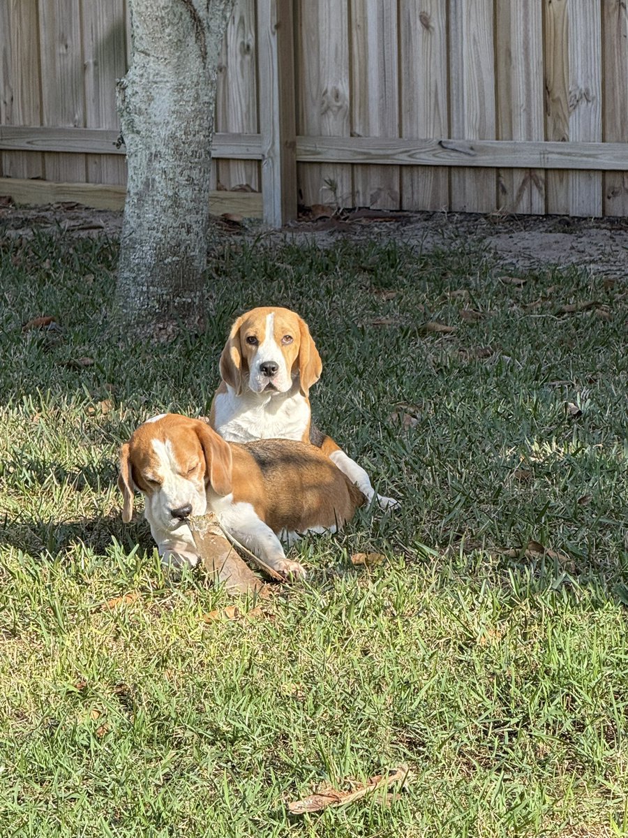 Thomas Deans tweet media