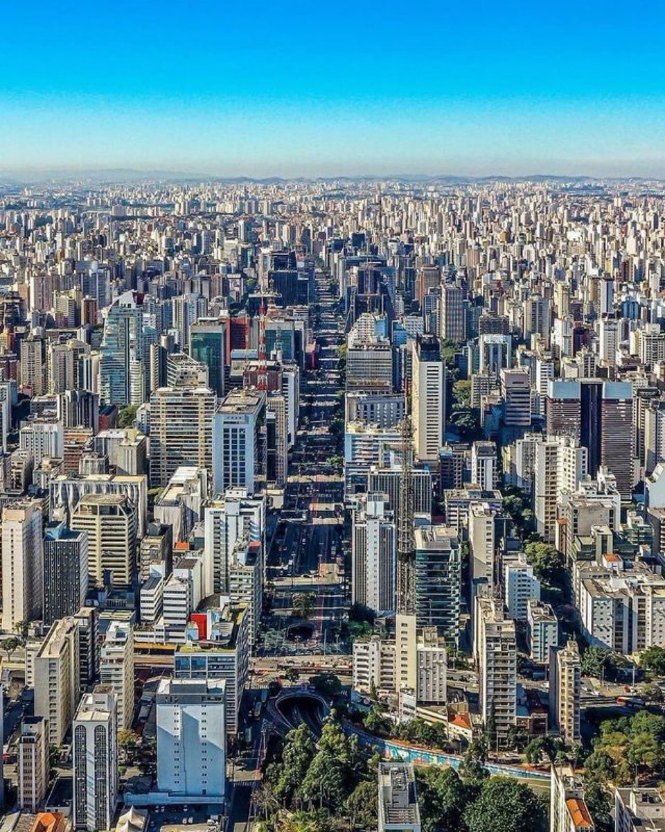 T A Y 🇧🇷 tweet media