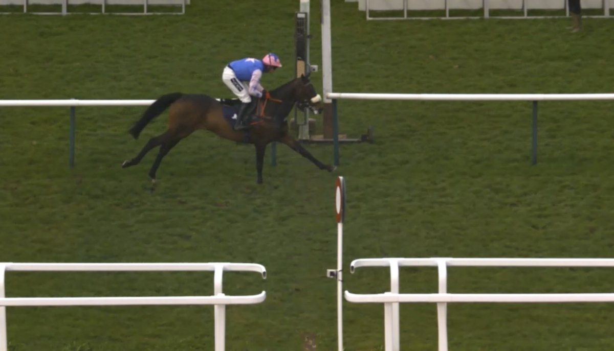 GetYourTipsOut tweet media
