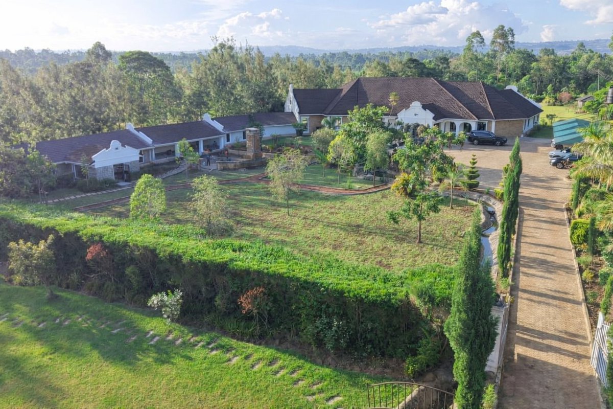 Yator Boss☚ tweet media