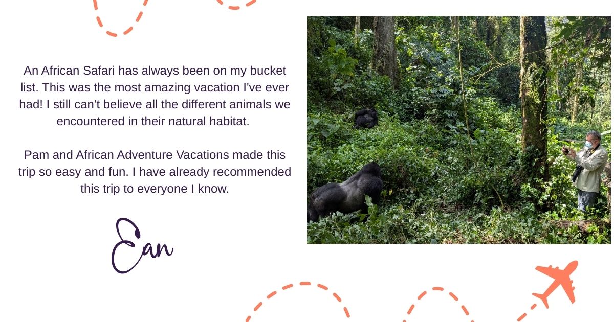 Directionally Challenged Traveler tweet media