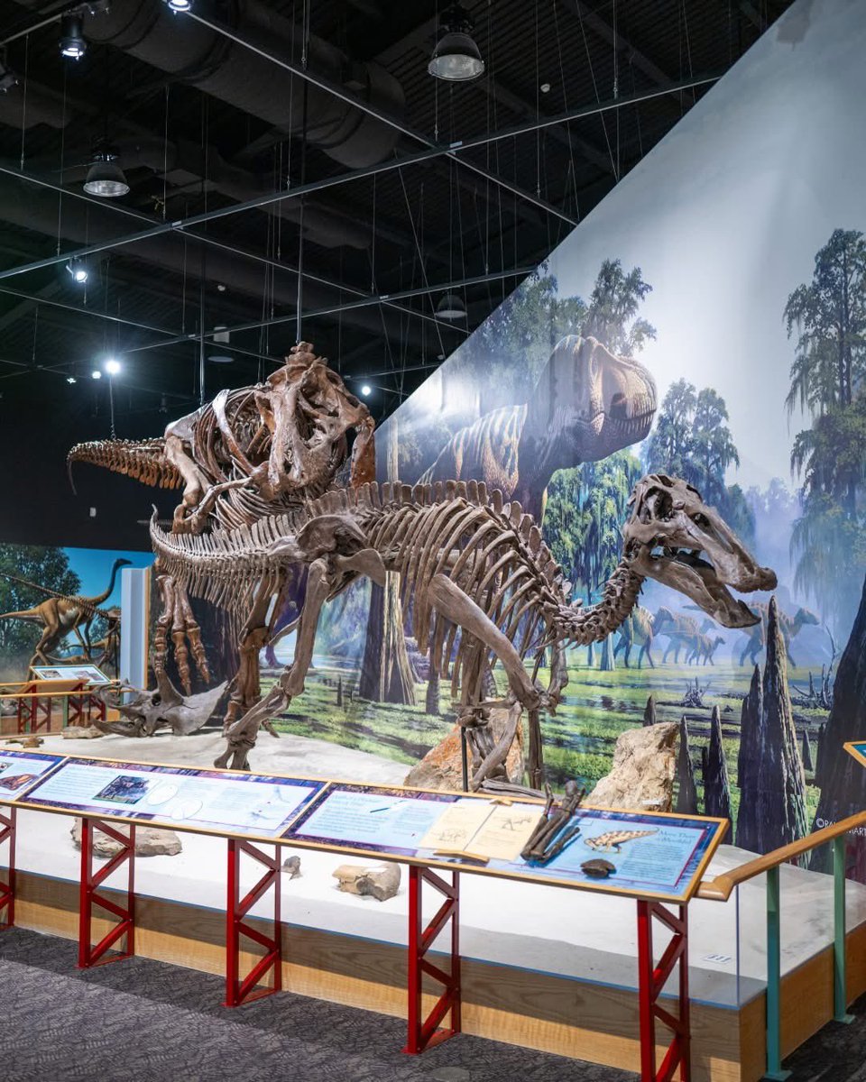 Taylor McCoy 🦖 tweet media