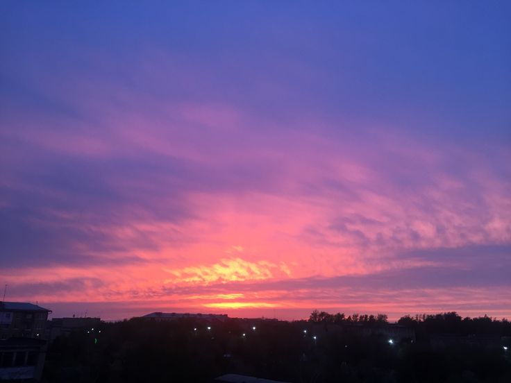 .griffonnage@orange.frLYNE-ROSE tweet media