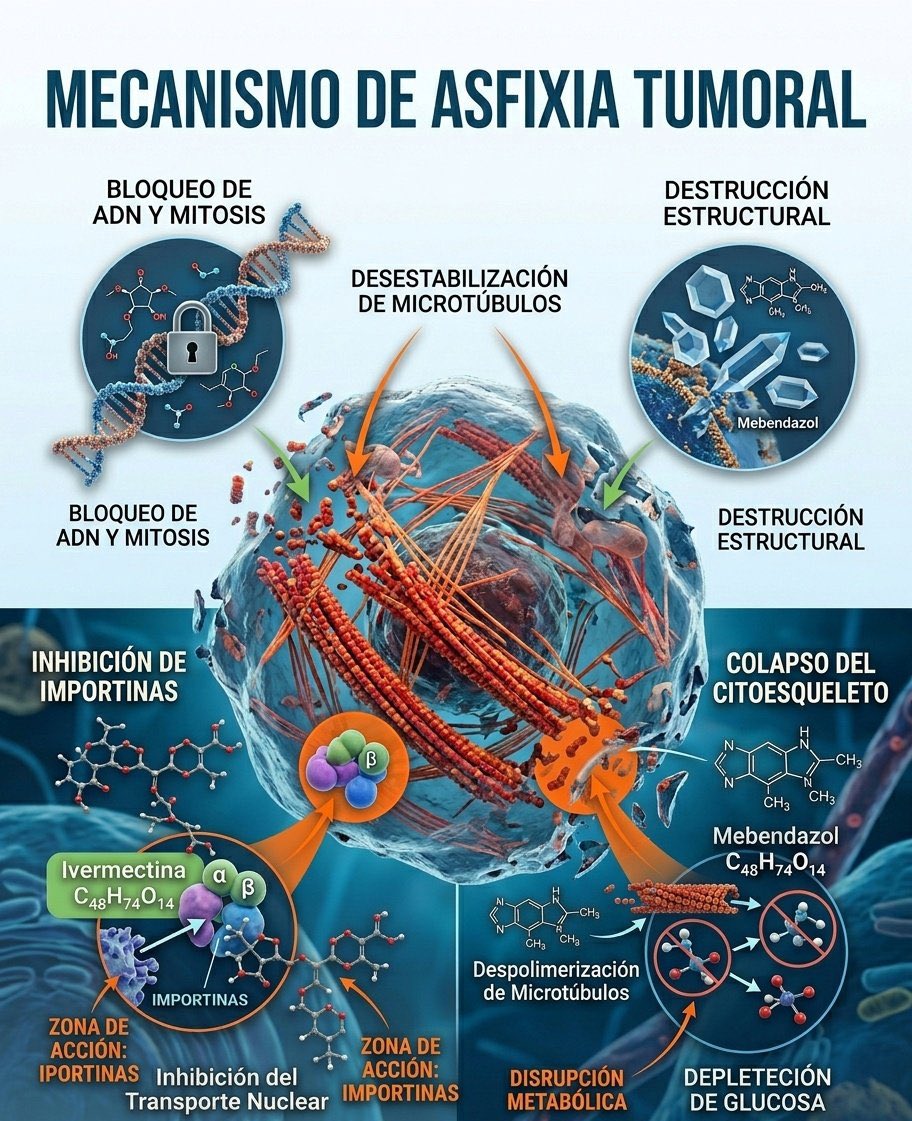 𝐃𝐫. 𝐄𝐦𝐞𝐫𝐬𝐨𝐧 𝐉𝐞𝐧𝐧𝐚 tweet media