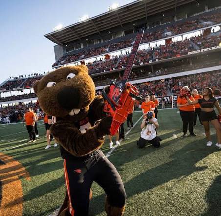 Stephan Hicks Jr. tweet media