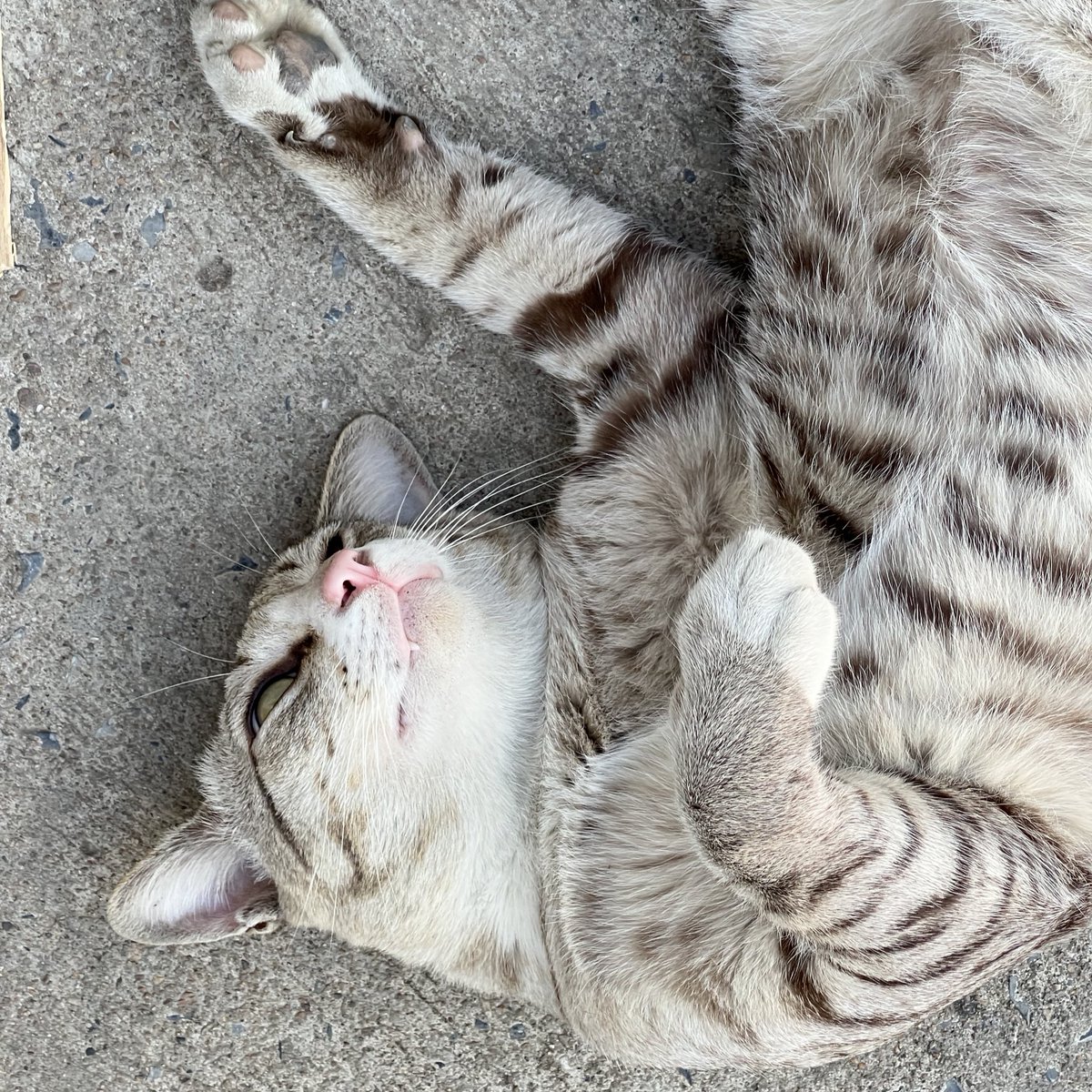 littleheart ♡ tweet media