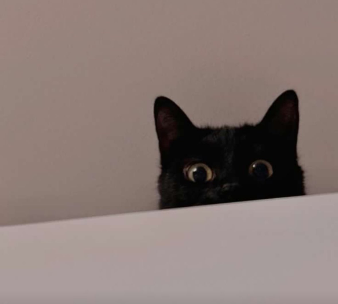 Lucifer⊬•••X•TØP RT tweet media