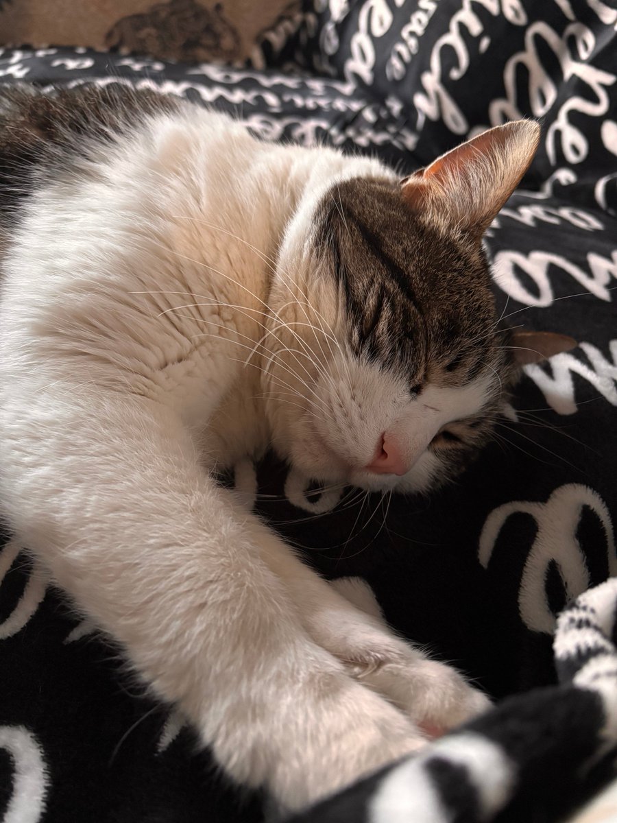 Angel or demon 😇😈 tweet media