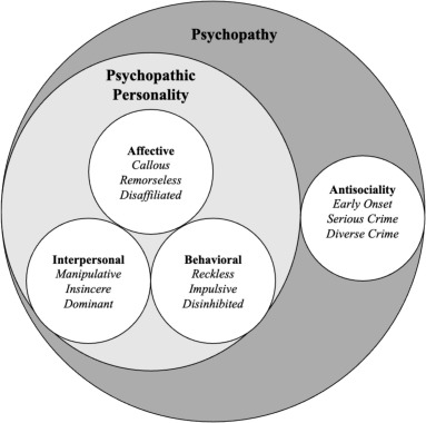 El Paido ®️ tweet media