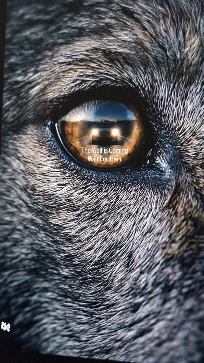 Sanad4ai's tweet image. The Wolf is Coming
Wait For Hem🐺
#VisualArt