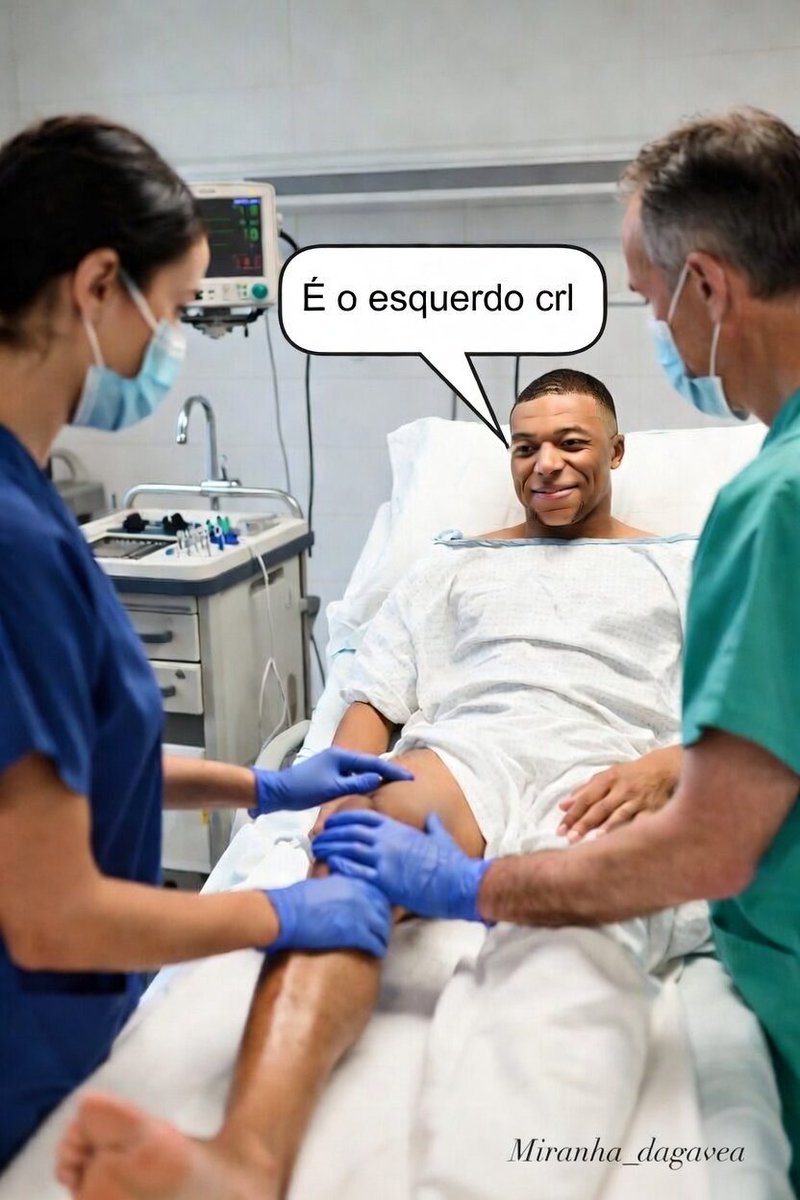 Miranha da Gávea tweet media