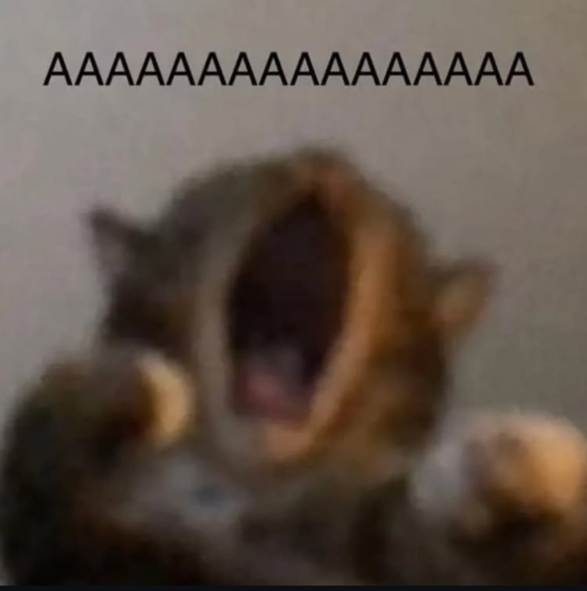 𝗔𝗻𝗮𝘀 tweet media