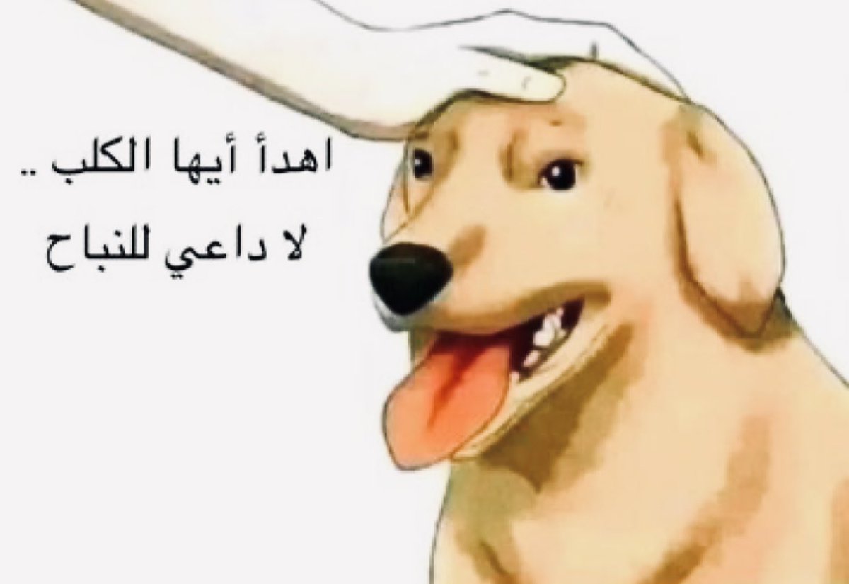 HsanS96's tweet photo. @skynewsarabia والله العظيم بقيت اخجل ليكم يااااااخ😂 https://t.co/6dB8B2Zhe2