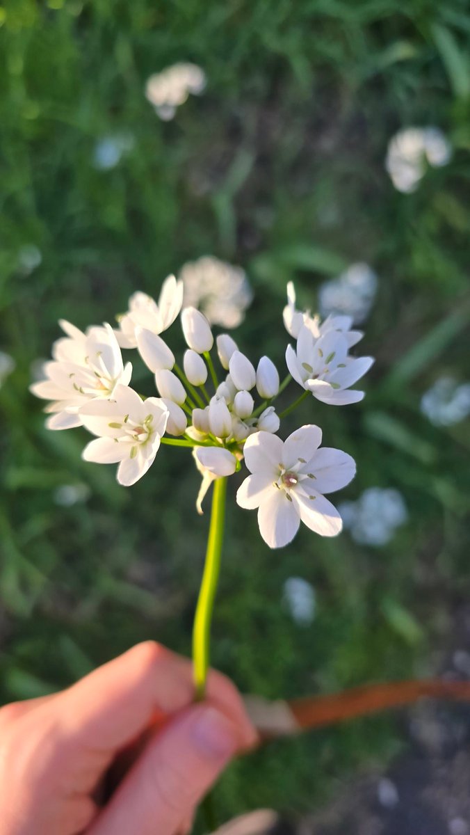 Natalie🏳️‍⚧️ tweet media