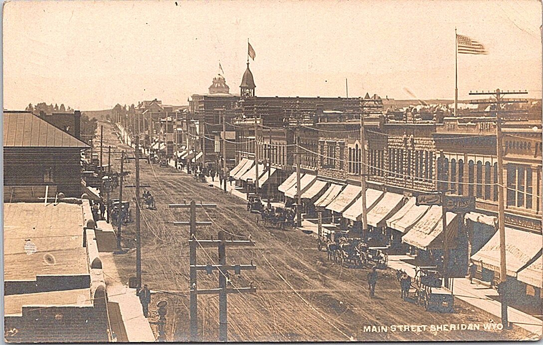 Cyborg Puppy tweet media