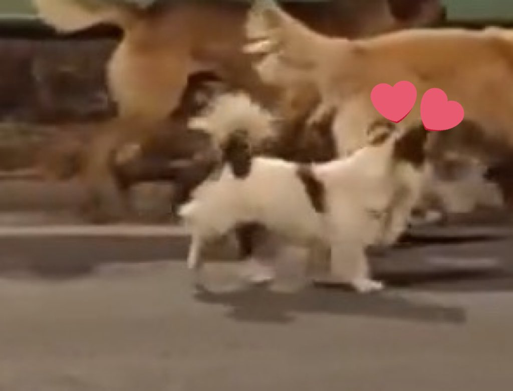 İzzie³⁵ tweet media