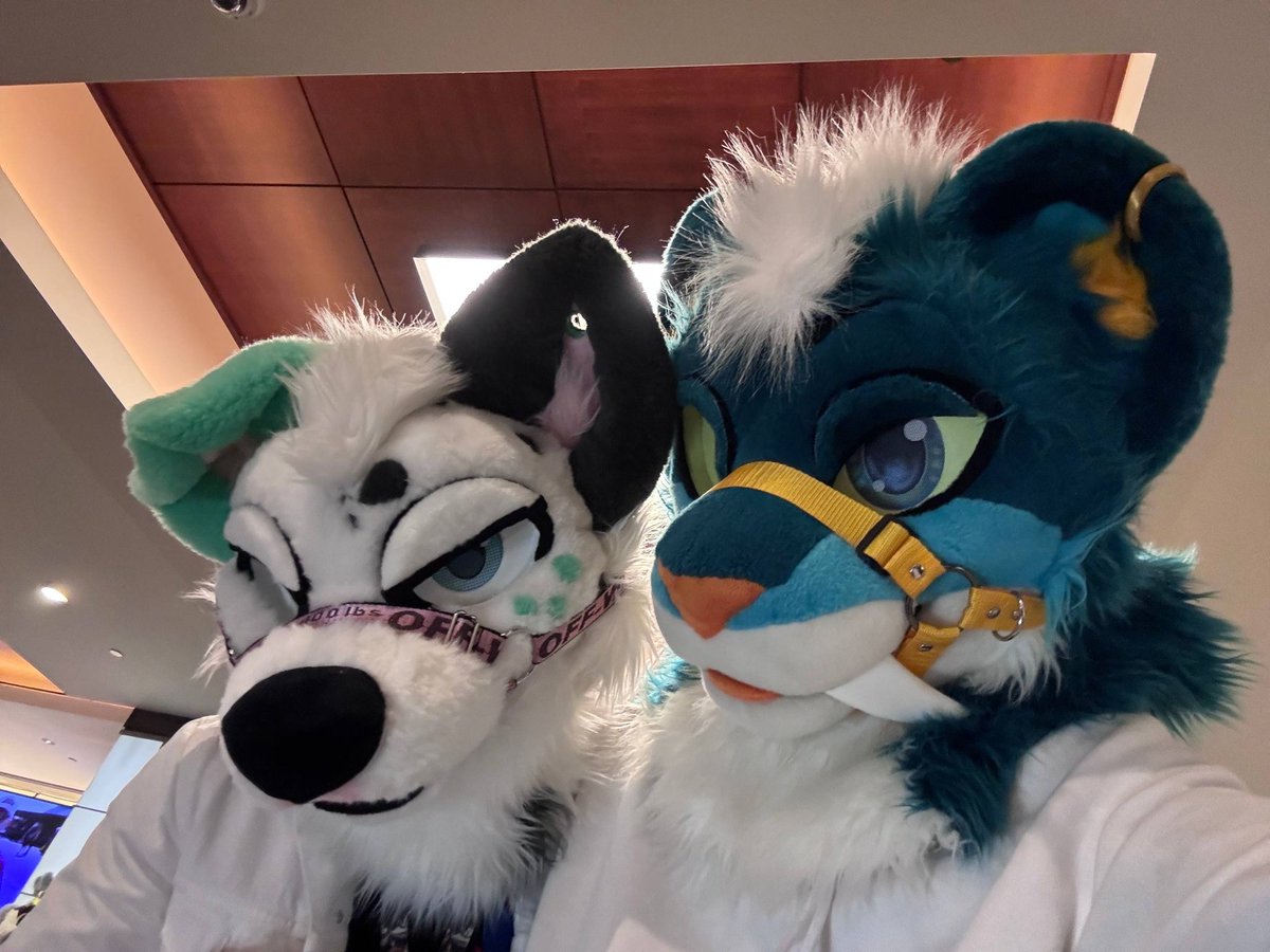 Lil Nav X 🔜 TFF26 tweet media