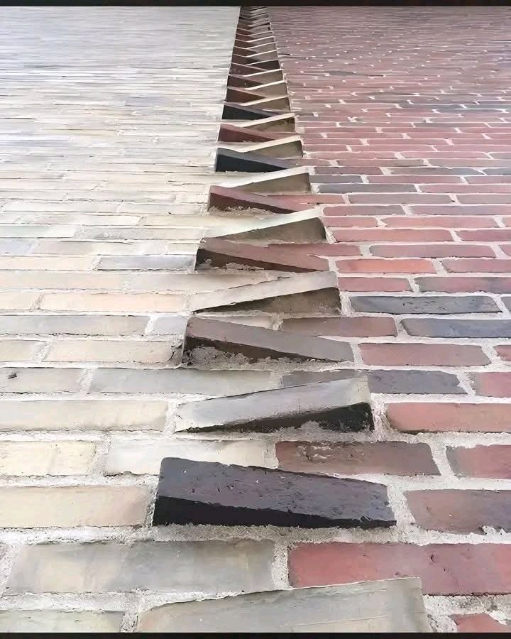 Ignatius tweet media