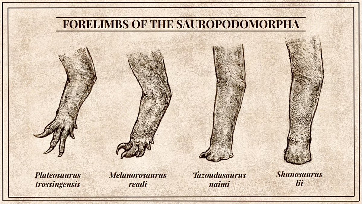 Everett Mancke tweet media