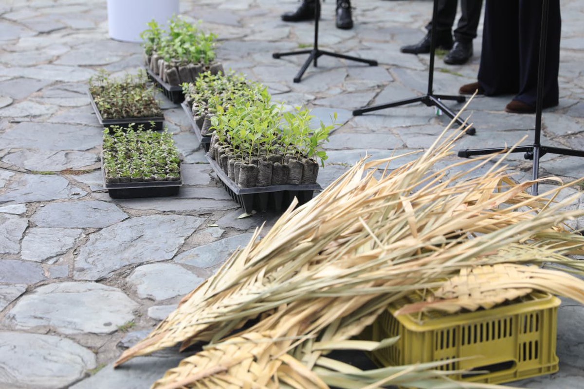 Alfred Ballesteros Alarcón tweet media