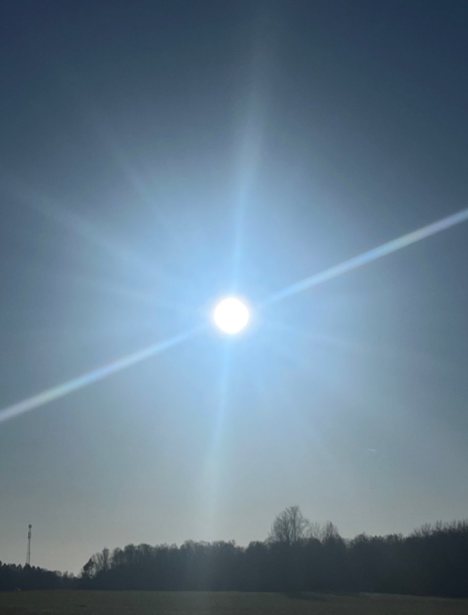 DHT+CO2+T3🥛🌞 tweet media