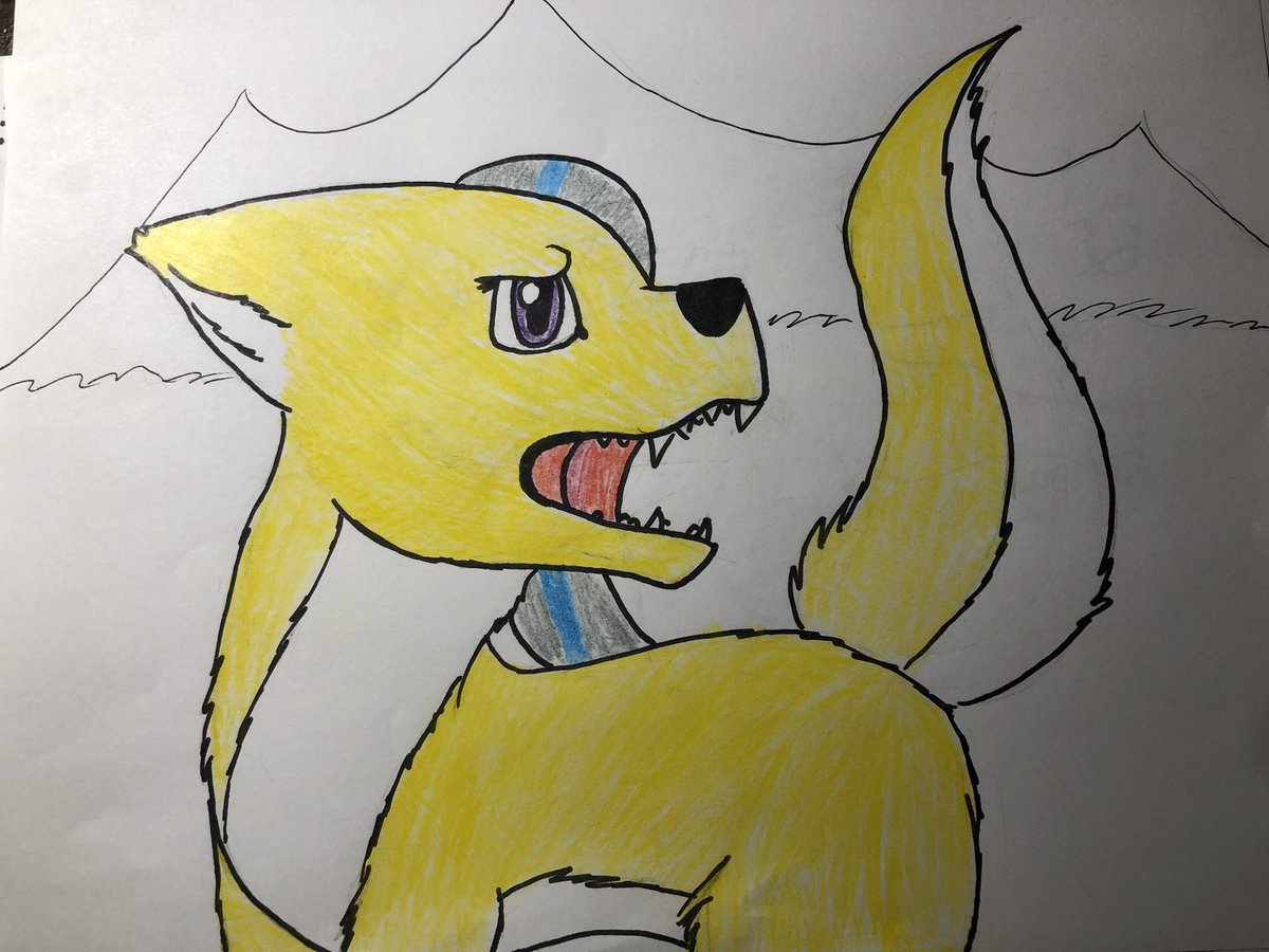 andy 🐾🗄️ tweet media