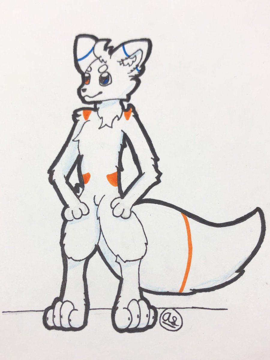 andy 🐾🗄️ tweet media