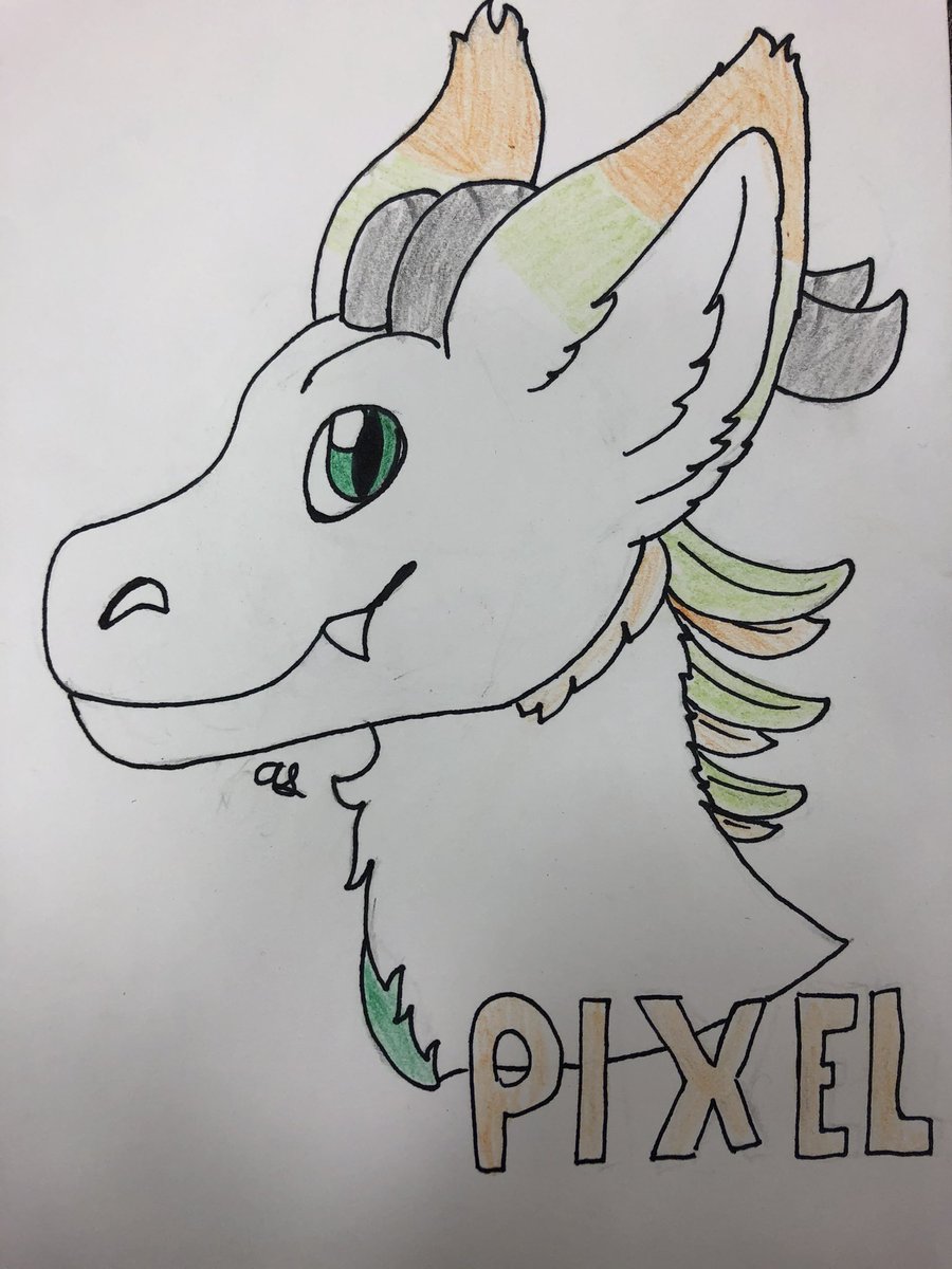 andy 🐾🗄️ tweet media