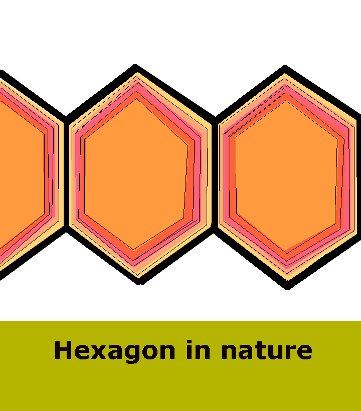 kidzfun2012's tweet photo. Hexagonal geometric structures in nature - Kidz Learn Applications™ https://t.co/5OhRGVOwUx via @YouTube https://t.co/PXoznJo04W
