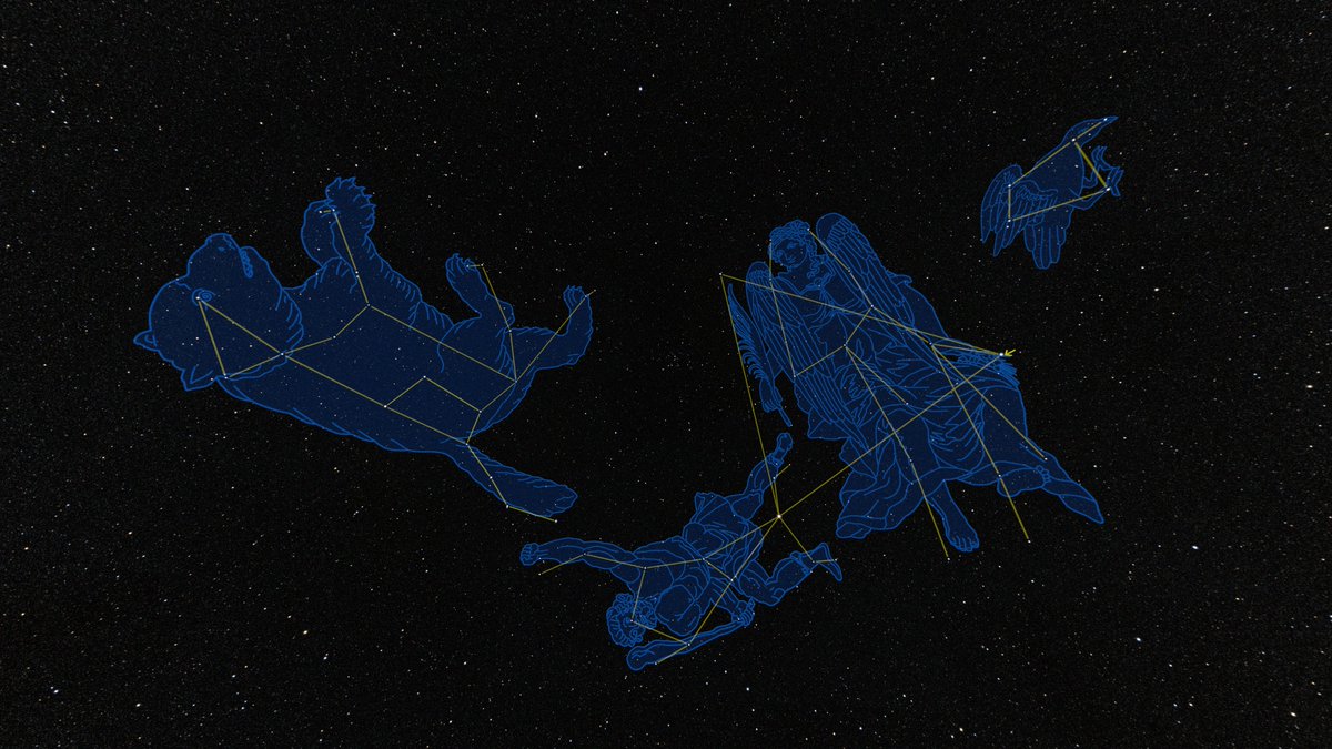 こしひかりん tweet media