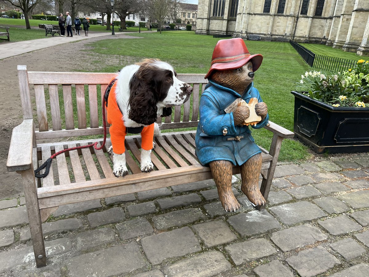 EDDIE Heir 2 AdsDogCharlie tweet media