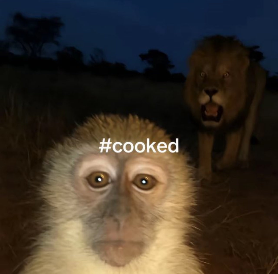 Frombor3d tweet media