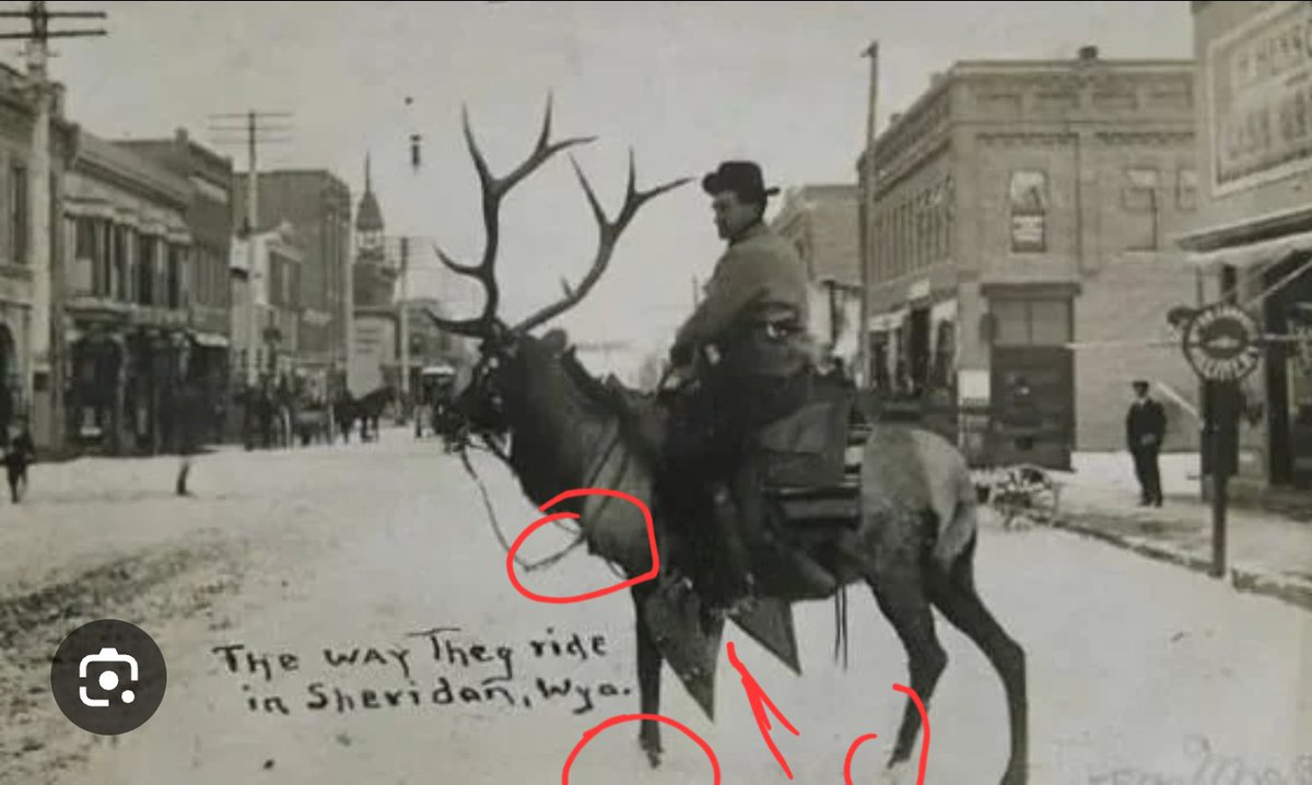 LewSales.XYO✨️Passionate About XYO and WinLEW✨️ tweet media