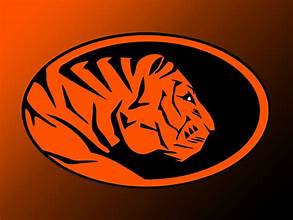 Peter Gray tweet media