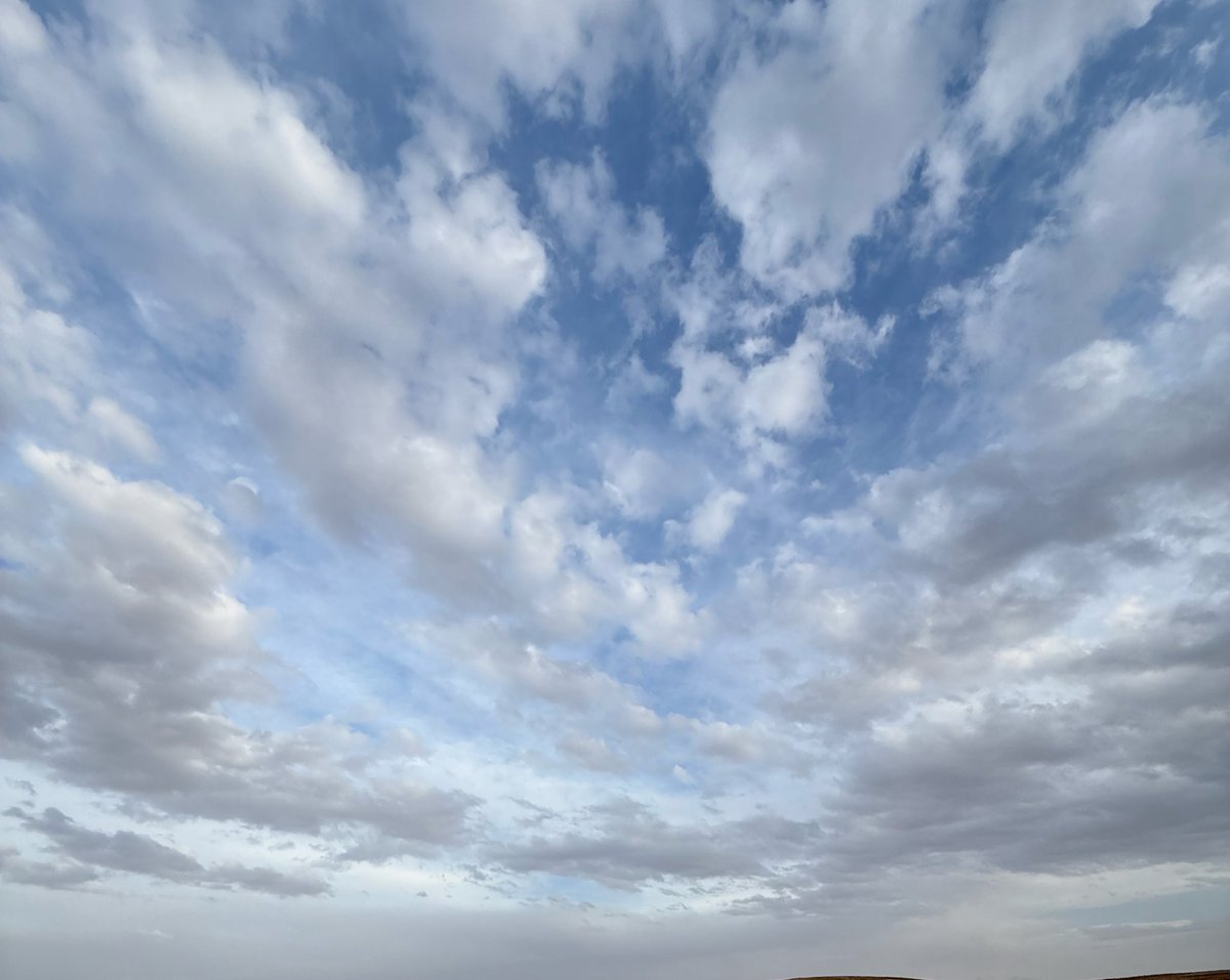 シニア tweet media