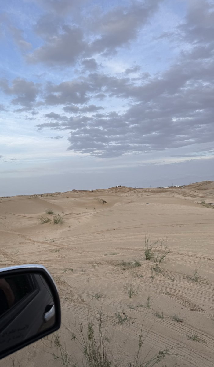 シニア tweet media