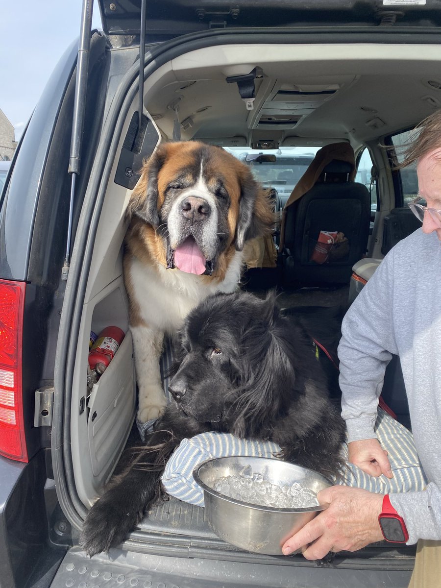 K & Archie, Alec, Declan & Saoirse tweet media