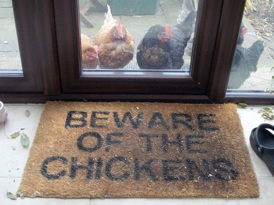 𝖈𝖍𝖆𝖇𝖆𝖟𝖎𝖙𝖊 tweet media