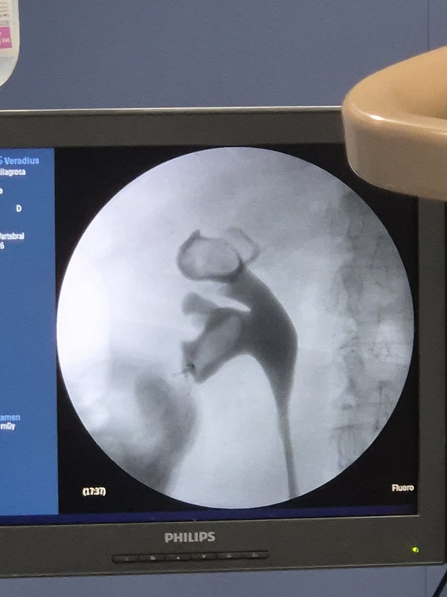 Toño Mainez tweet media