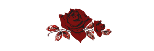 ‍ ‍ ‍ ‍ ‍ ＊ 𝑫a͟m͟n͟e͟d͟ ‍◠ ‍𝐇𝐄𝐀𝐑𝐓 . tweet media