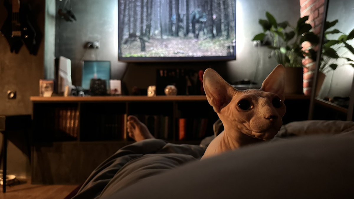 АНРИЛ АНЛРЕЙ tweet media