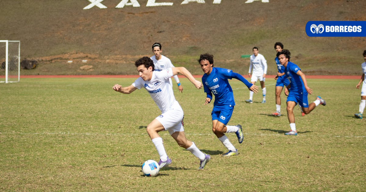 Borregos Monterrey tweet media