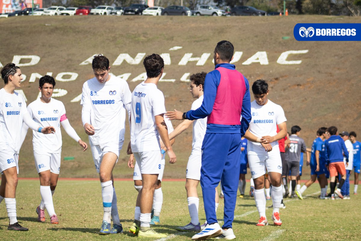 Borregos Monterrey tweet media