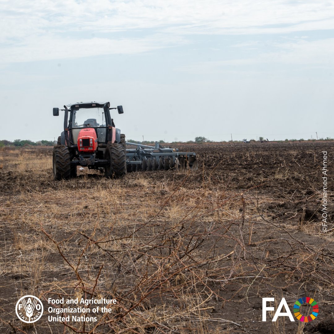 FAOSudan tweet media